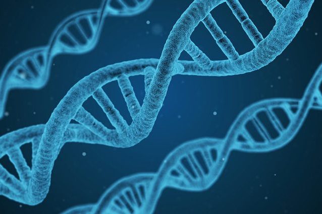 Embrioni umani modificati geneticamente: cosa significa e come cambia la nostra vita