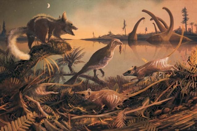 Illustrazione di Mark Witton