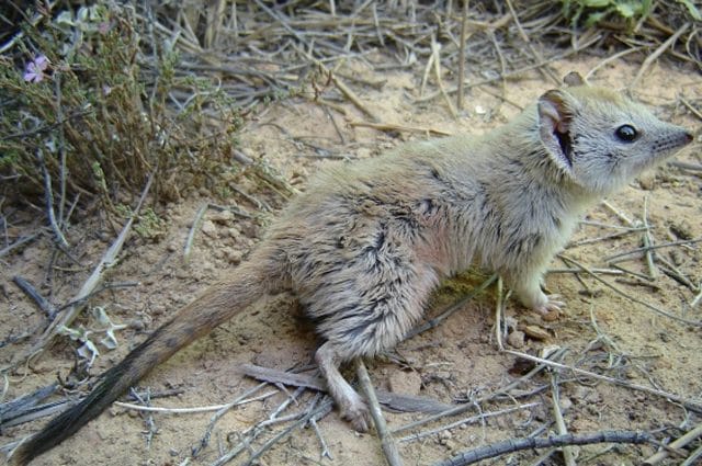 Credit: Reece Pedler