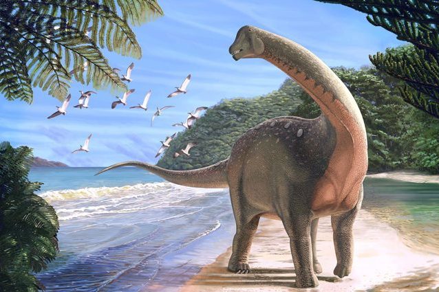 Credit: Andrew McAfee, Carnegie Museum of Natural History