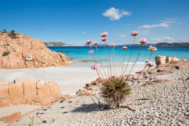 Parco Nazionale dell’Arcipelago di La Maddalena di Mirko Ugo