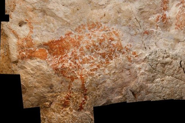 L’opera d’arte figurativa più antica è un bovino: fu dipinto almeno 40mila anni fa nel Borneo