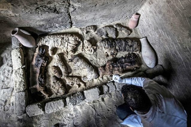 Antico Egitto, mummie di decine di gatti e rari scarabei scoperte in tombe millenarie