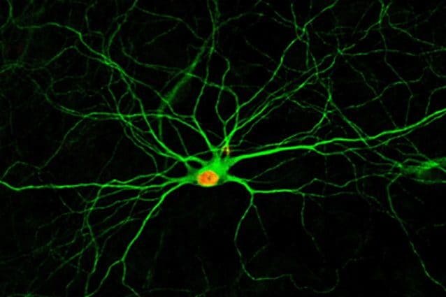 Credit: Gong Chen Lab, Penn State