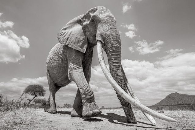Credit: Will Burrard–Lucas