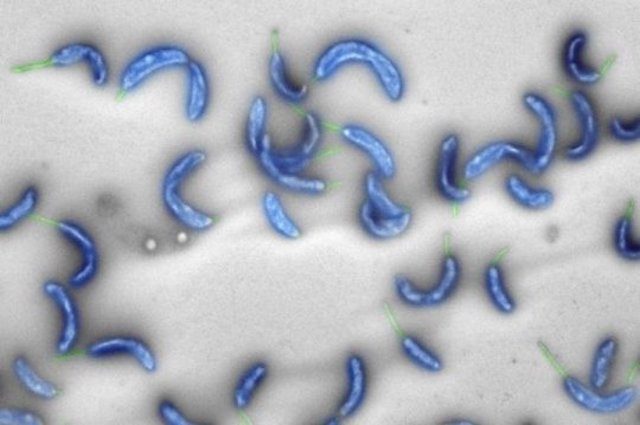 Credit: ETH Zurich