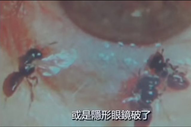Credit: youtube/蘋果新聞網