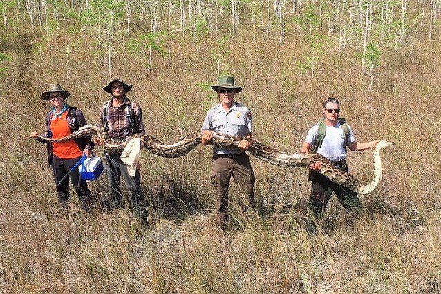 Credit: Big Cypress National Preserve