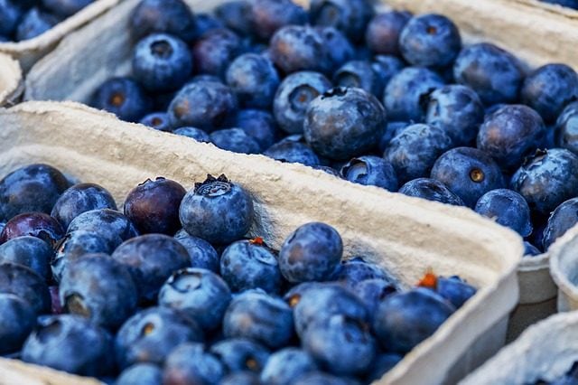 I mirtilli fanno bene al cuore, ecco la porzione ‘amica’ da mangiare ogni giorno