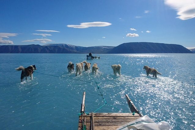 Credit: Steffen Olsen/Rasmus Tonboe – Twitter
