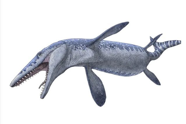 Credit: Royal Tyrrel Museum of Paleontology, Drumheller, Alta