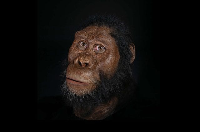 Credit: John Gurche/Susan and George Klein/Matt Crow/Cleveland Museum of Natural History.