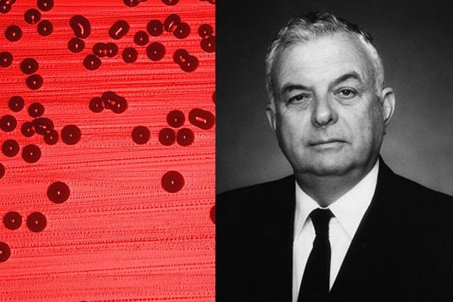 A sinistra, il batterio Haemophilus influenzae, a destra John Bennett Robbins. Credit: CDC