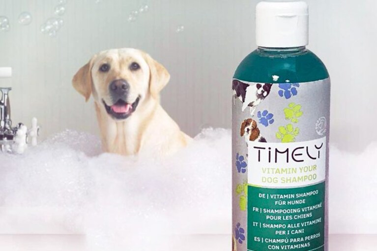 migliori shampoo per cani