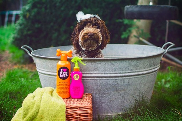 migliori shampoo per cani