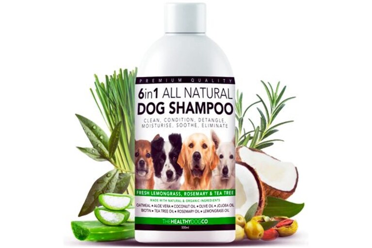 migliori shampoo per cani