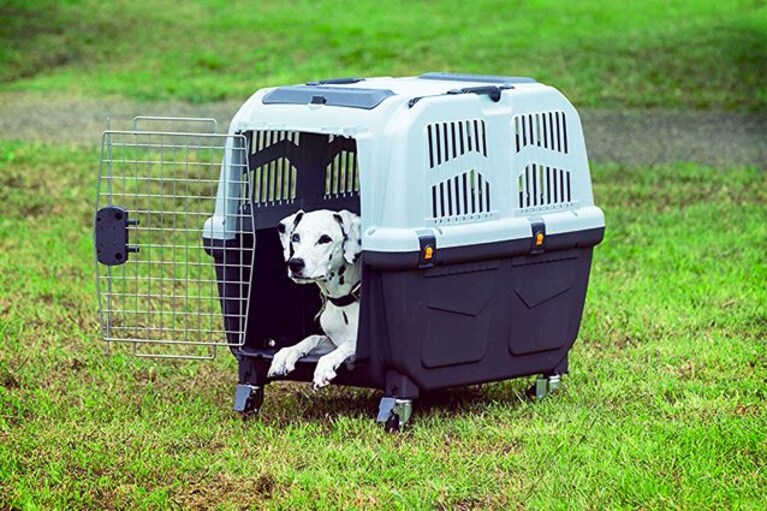 migliori trasportini per cani