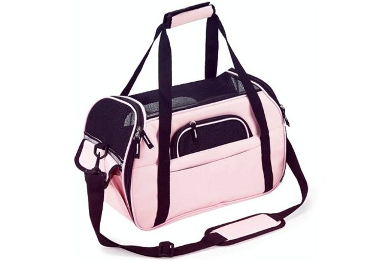 migliori trasportini per gatti