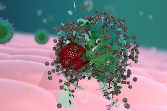 La nuova molecola "killer" di virus. Credit: Scuola Politecnica Federale di Losanna/EPFL