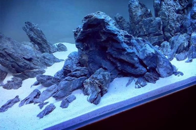 migliore sabbia per acquario