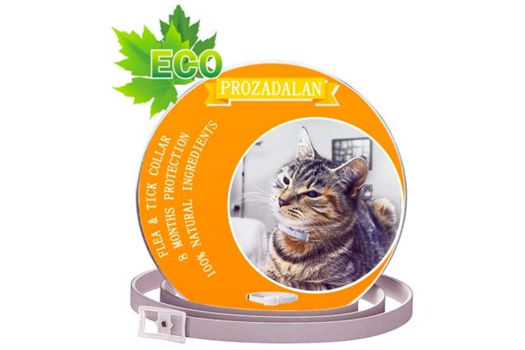 migliori collari per gatti