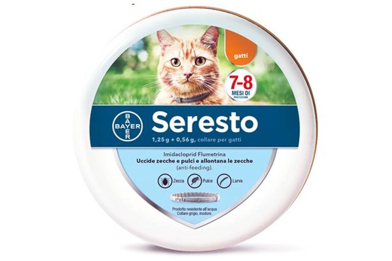 migliori collari per gatti