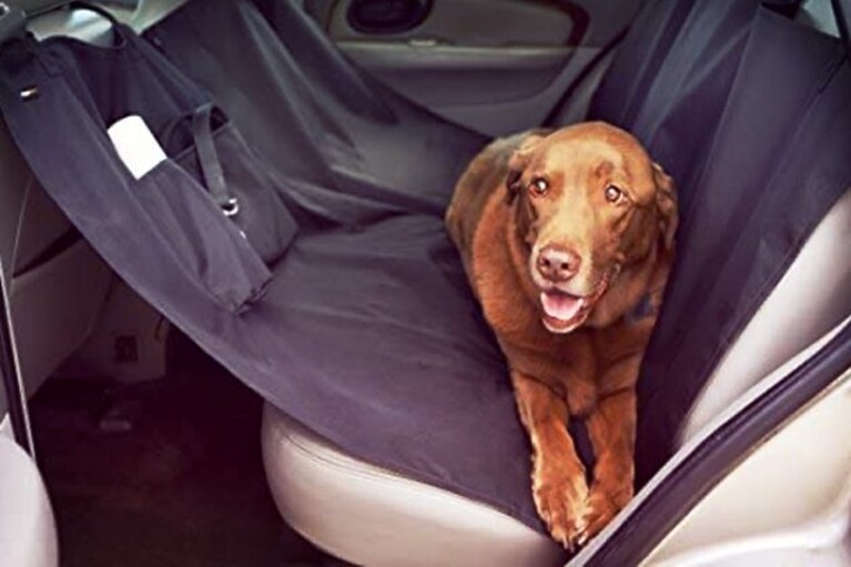 migliori coprisedili auto per cani