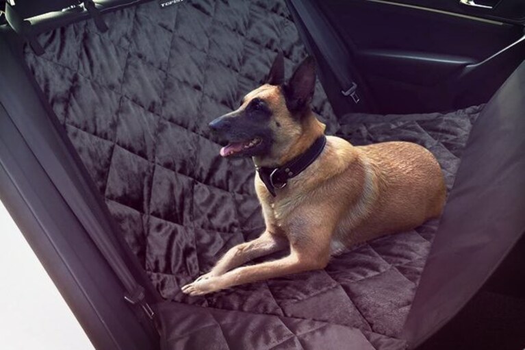 migliori coprisedili auto per cane