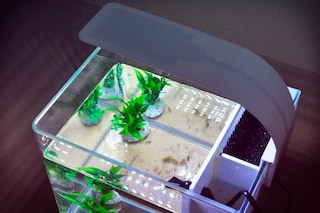 Set Blocchi Costruzione Acquario Con Luci LED 830 Pezzi - Squalo, Meduse, Barca - Regalo 8-12+ Anni