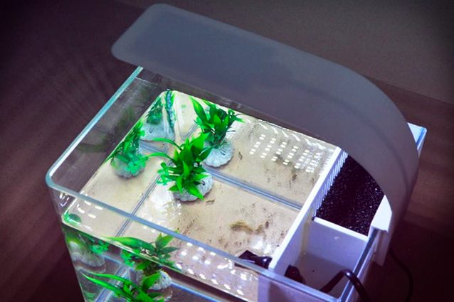 Set Blocchi Costruzione Acquario Con Luci LED 830 Pezzi - Squalo, Meduse, Barca - Regalo 8-12+ Anni