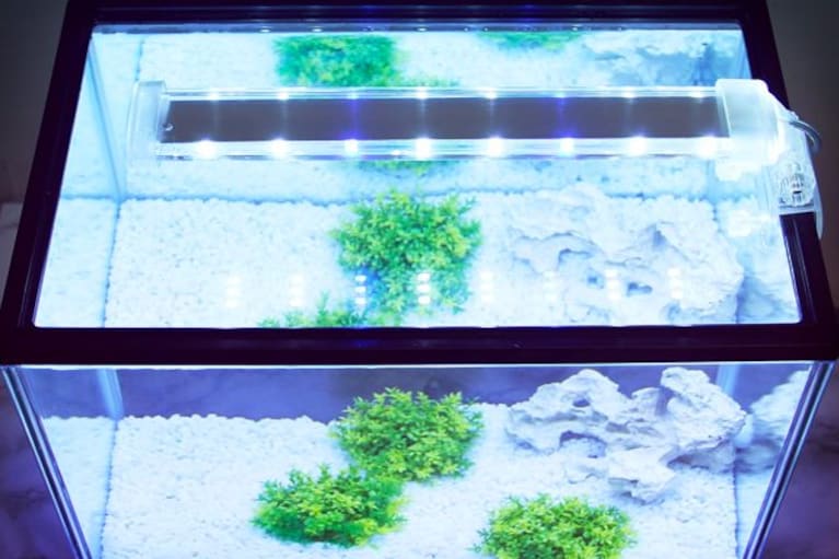 migliori lampade led per acquario