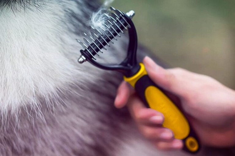 migliori spazzole per cani
