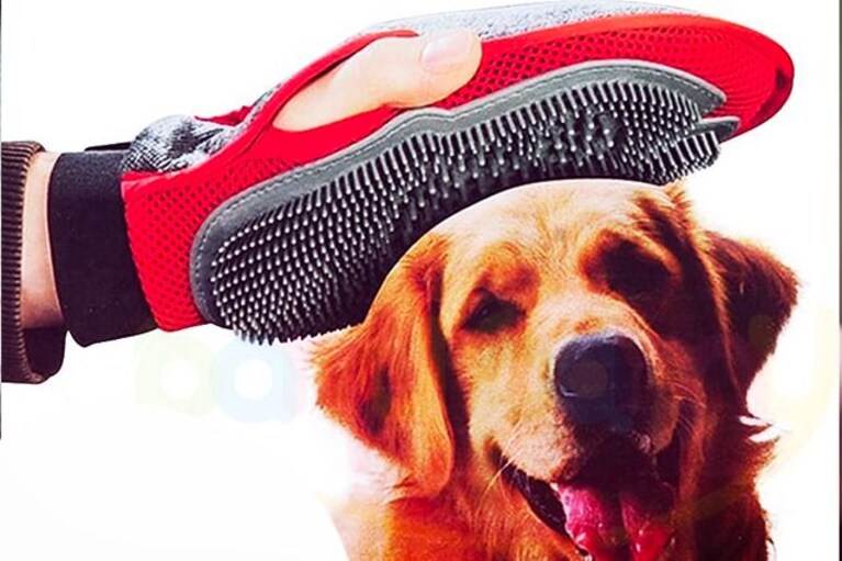 migliori spazzole per cani