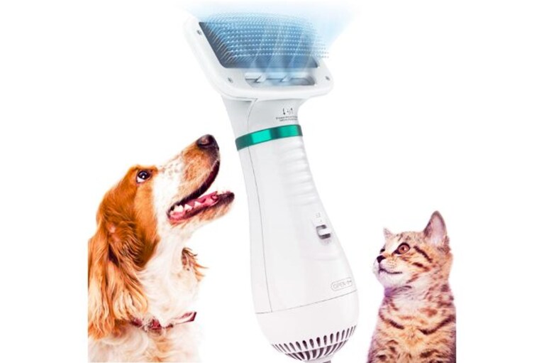 migliore spazzola per cani