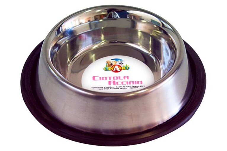 migliori ciotole per cani
