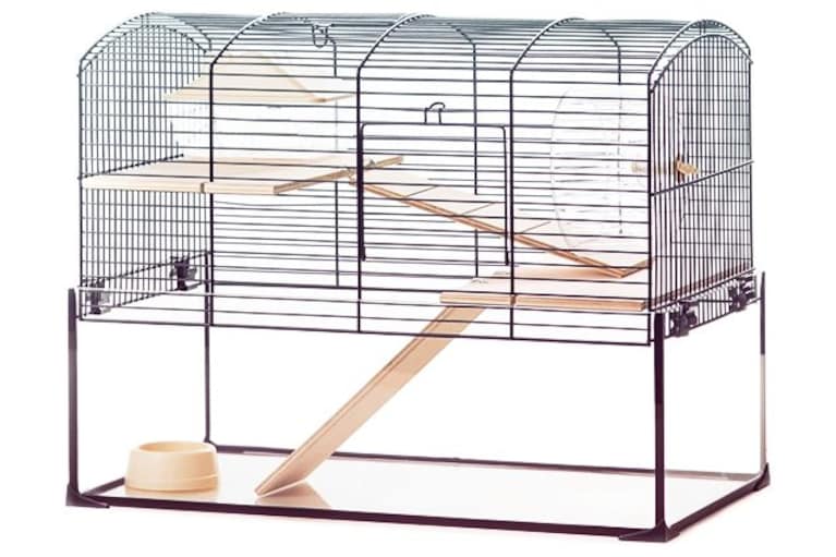 migliori gabbie per criceti