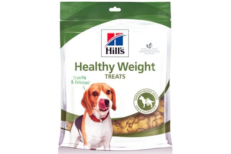 migliori snack per cani