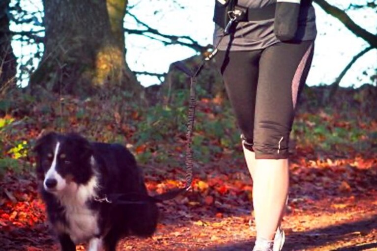 equipaggiamento trekking cani
