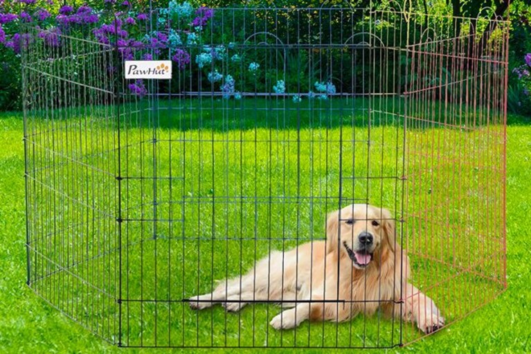 migliore box per cani