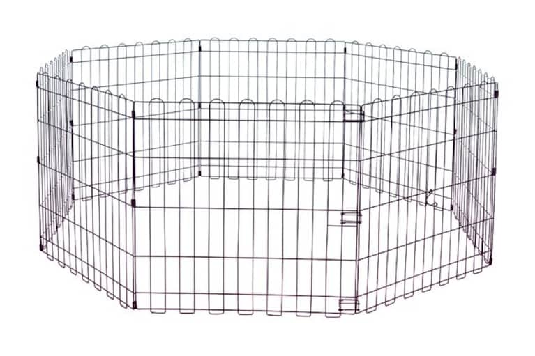 migliori box per cani