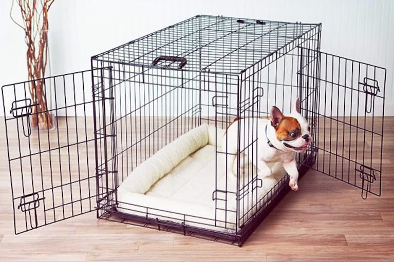 migliore box per cani