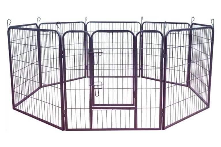 migliore box per cani