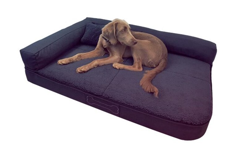migliori cuscini per cani