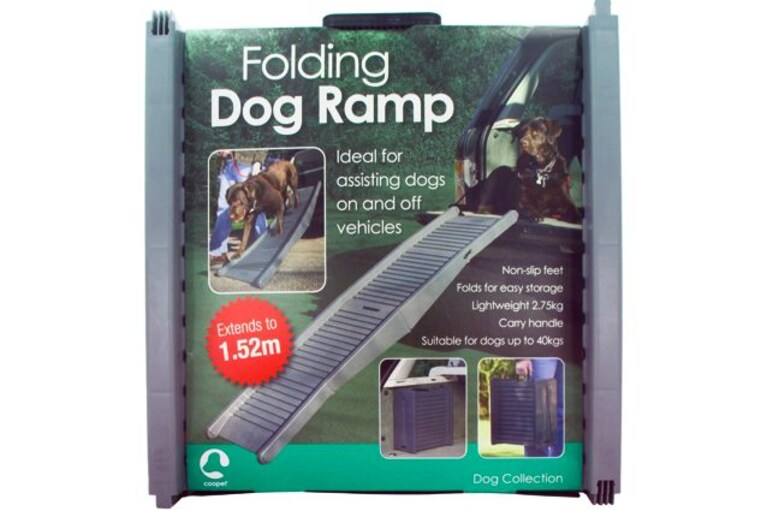 migliori rampe per cani