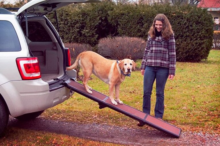 migliori rampe per cani