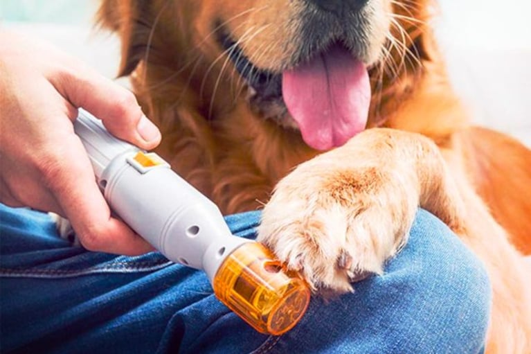 migliori tagliaunghie per cani