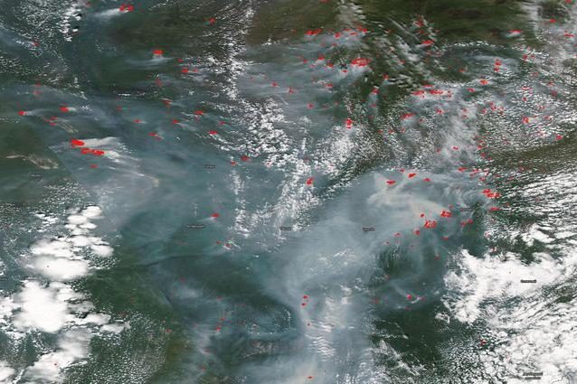 In rosso gli incendi in Siberia, intercettati dal satellite Aqua della NASA. Credit: NASA