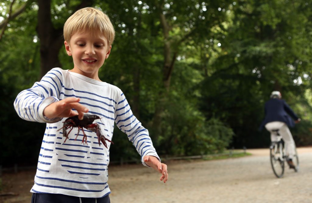 I bambini che giocano nella natura hanno un sistema immunitario più forte