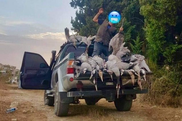 Un bracconiere esulta per il massacro delle gru. Credit: Facebook/CABS Italia – l’antibbracconaggio