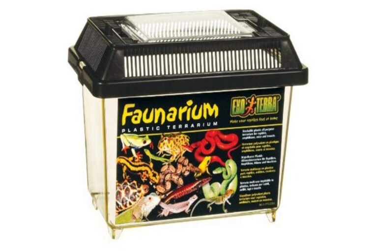 Exo Terra Faunarium - Terrario Standard
